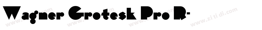 Wagner Grotesk Pro R字体转换